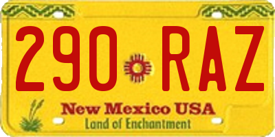 NM license plate 290RAZ