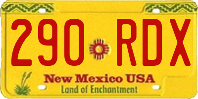 NM license plate 290RDX