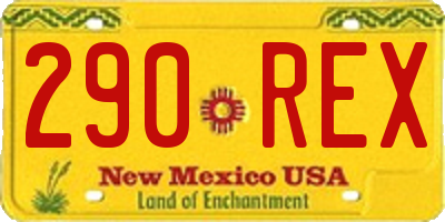 NM license plate 290REX