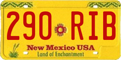 NM license plate 290RIB