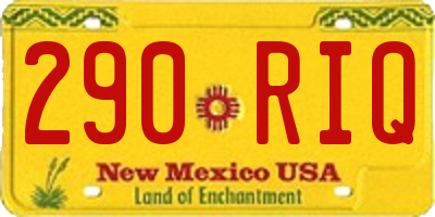 NM license plate 290RIQ