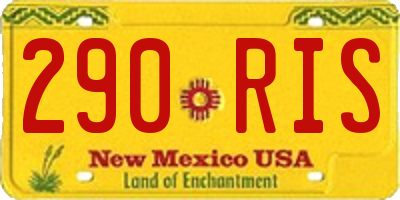 NM license plate 290RIS
