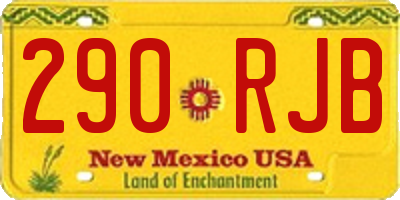 NM license plate 290RJB