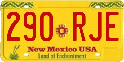 NM license plate 290RJE
