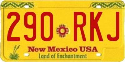 NM license plate 290RKJ