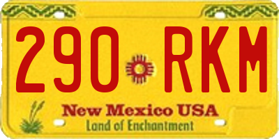 NM license plate 290RKM