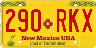 NM license plate 290RKX