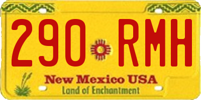 NM license plate 290RMH