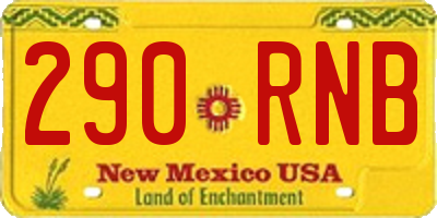 NM license plate 290RNB