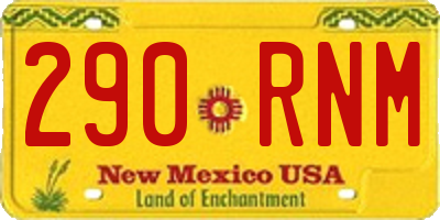 NM license plate 290RNM