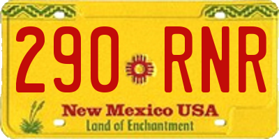 NM license plate 290RNR