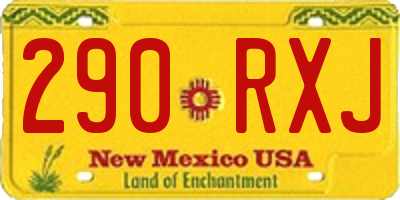 NM license plate 290RXJ
