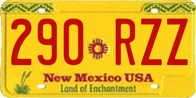NM license plate 290RZZ