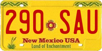 NM license plate 290SAU