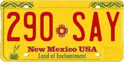 NM license plate 290SAY