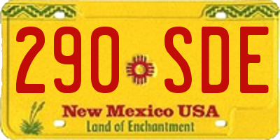 NM license plate 290SDE