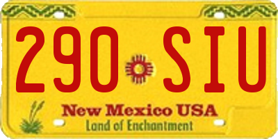 NM license plate 290SIU