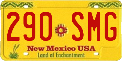 NM license plate 290SMG