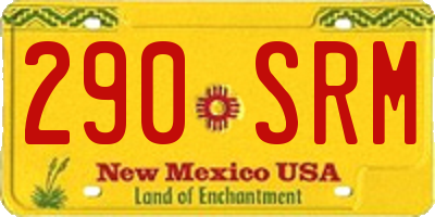 NM license plate 290SRM