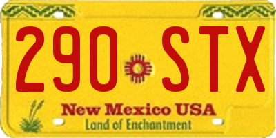 NM license plate 290STX