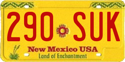 NM license plate 290SUK