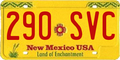 NM license plate 290SVC