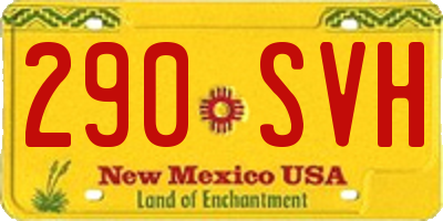 NM license plate 290SVH