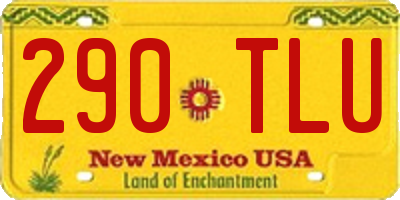 NM license plate 290TLU
