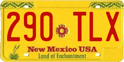 NM license plate 290TLX