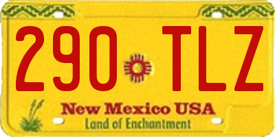 NM license plate 290TLZ