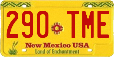 NM license plate 290TME