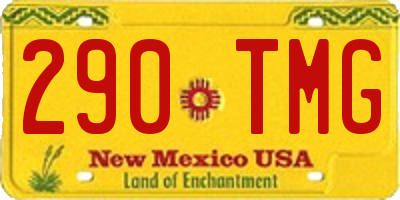 NM license plate 290TMG