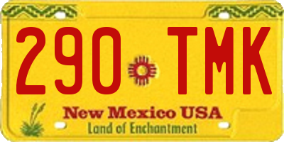 NM license plate 290TMK