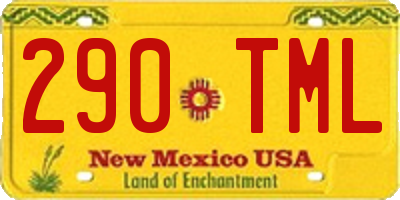 NM license plate 290TML