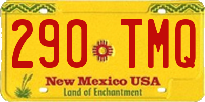 NM license plate 290TMQ