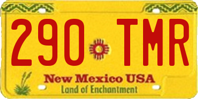 NM license plate 290TMR