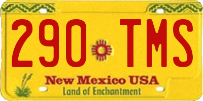 NM license plate 290TMS