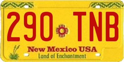 NM license plate 290TNB