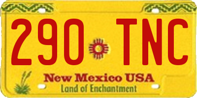 NM license plate 290TNC
