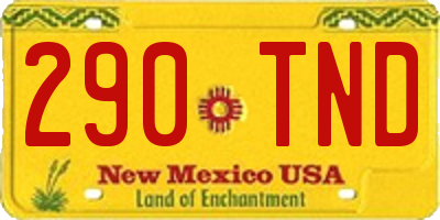 NM license plate 290TND