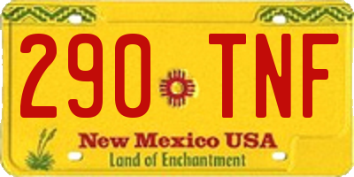 NM license plate 290TNF