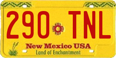 NM license plate 290TNL