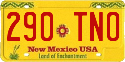 NM license plate 290TNO