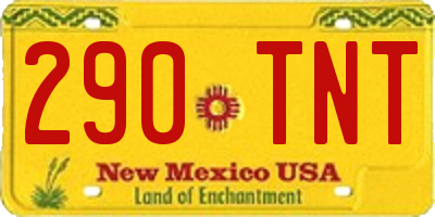 NM license plate 290TNT