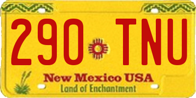 NM license plate 290TNU