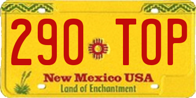 NM license plate 290TOP