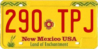NM license plate 290TPJ