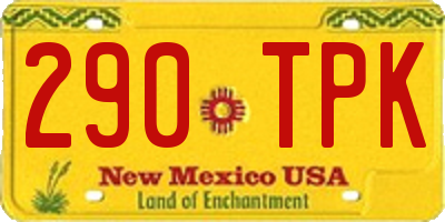 NM license plate 290TPK