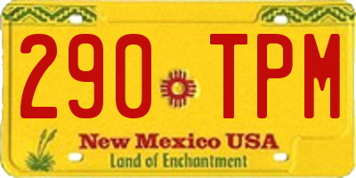 NM license plate 290TPM