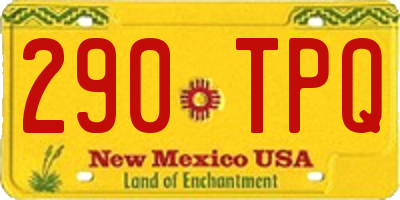 NM license plate 290TPQ